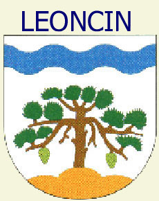 Leoncin