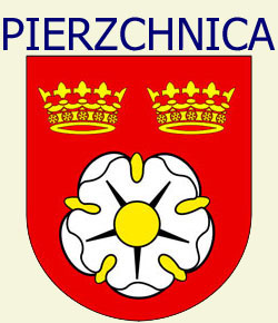 Pierzchnica