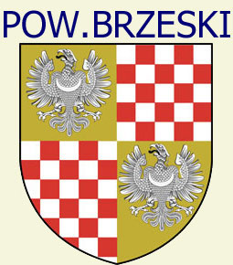 Powiat Brzeski