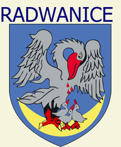 Radwanice