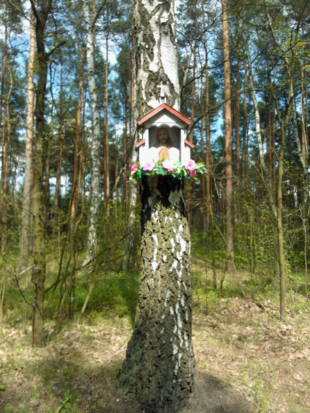 foto:Zenon Torba. Kapliczka na drzewie w miejscowości Górka
